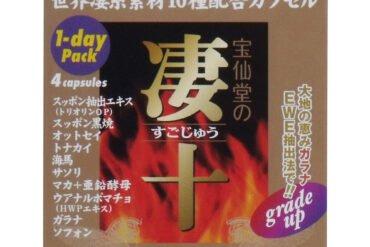 Housendo’s Sugojū 1-Day Pack