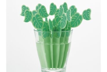 Anywhere Moisture Monstera