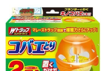 W Trap Small Fly Trap (2 Refills)