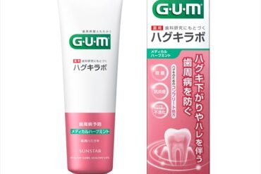 Gum Haguki Labo Dental Paste Medical Herb Mint 85g