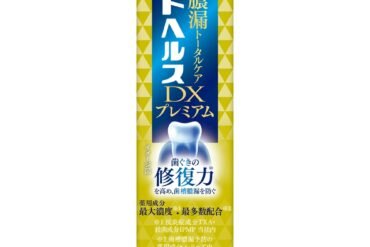 Dent Health Medicated Toothpaste DX Premium 30g