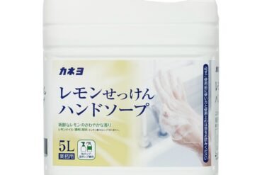 Kaneyo Lemon Soap Hand Soap