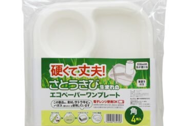 Eco-friendly paper one-plate set with corner divider